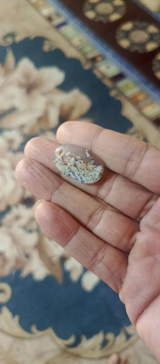 سبحه بازهر وحجر شجري بيع او مراوس سليماني عطف


**إذا كنت صاحب هذا الإعلان وتريد حذفه لأي سبب، رجاءا أرسل رسالة إلى الدعم الفني**