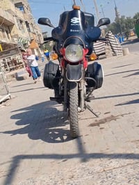 عيني يوجد بوكسرات القصاد فقد سكنه بغداد نكدر نطي قصاد وستفيار عله رقم ...