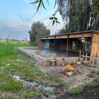 24 دونم • مزرعة بحيرات أسماك • بابل طريق القاسم