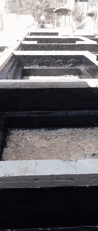 أسطح • أساس • صحيات