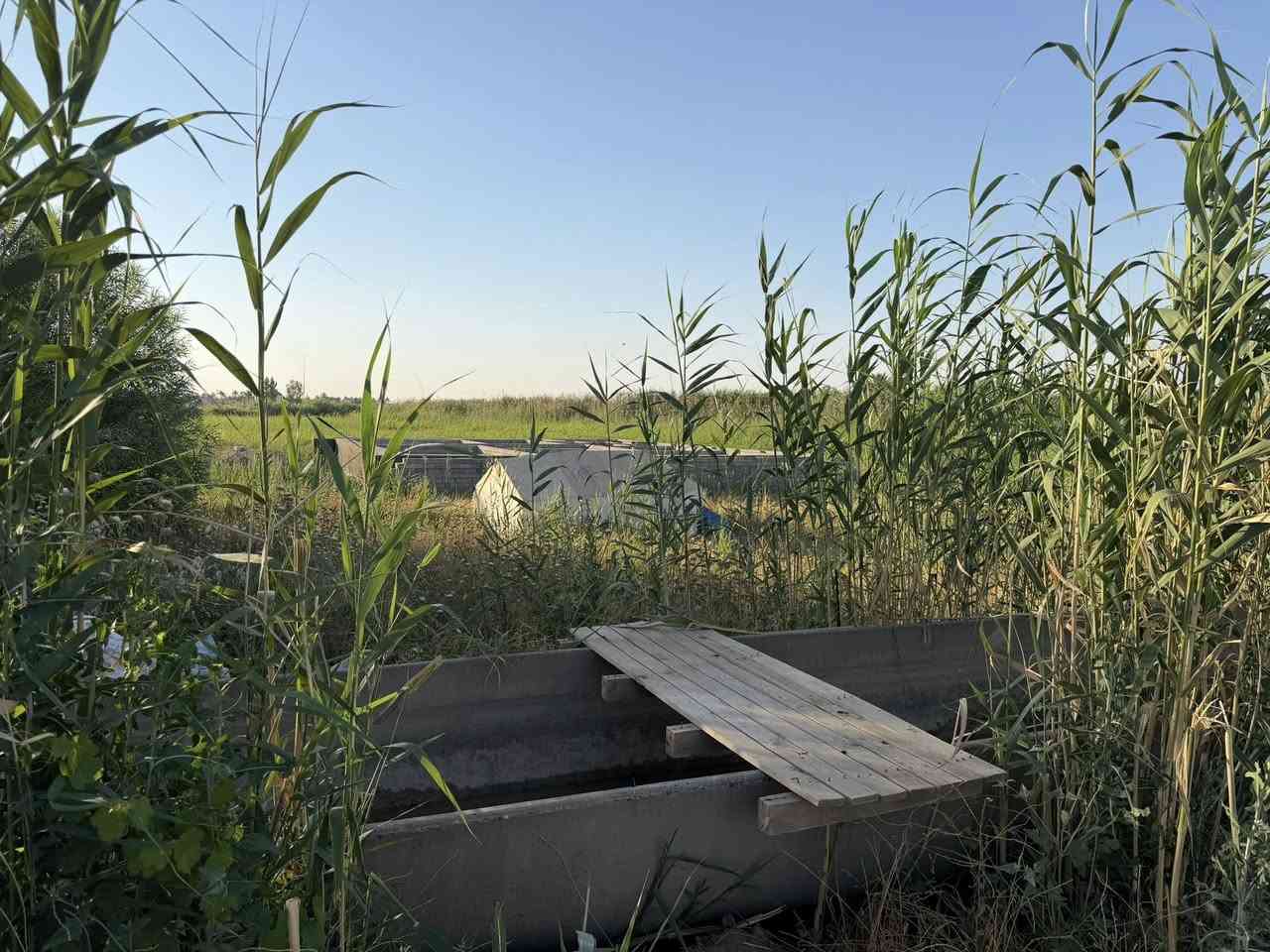 دونم بقضاء العلم مباشر عالشارع السايدين يبعد عن قاعة عزاء الجباره 150 متر مشيد بي أساس بيت مكتب ثائر الحديد للعقار
***********
