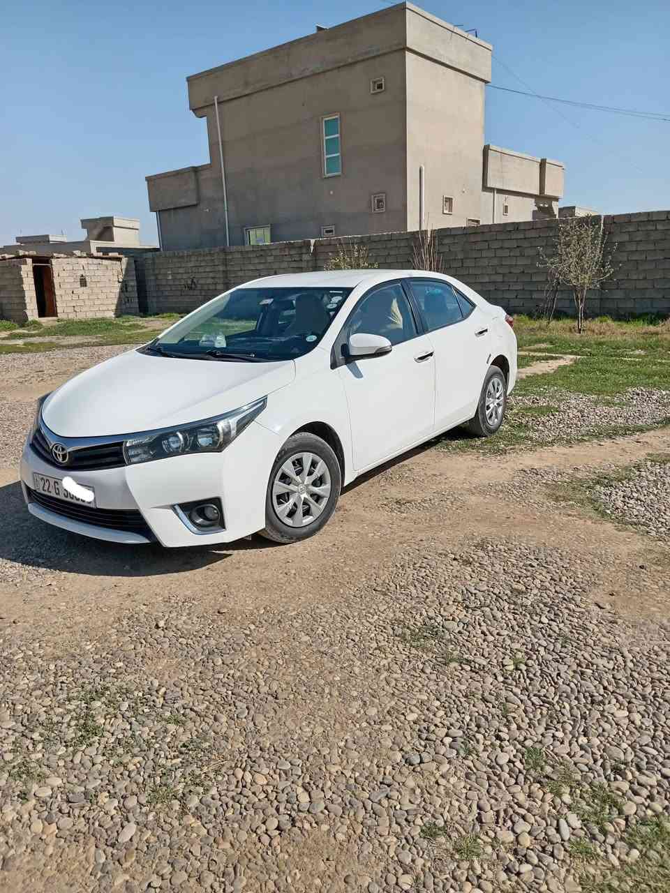 كورلا للبيع موديل 2015 خليجي كلين بدون صبغ بيه ملاحضه مئشر بل صور سياره محرك كير صدر تايرات تبريد كل جاهزه رقم جديد هزه جديد بسمي شرط تحويل محرك 16مامفتوح سعر135بيه مجال *********** نقد فقط
