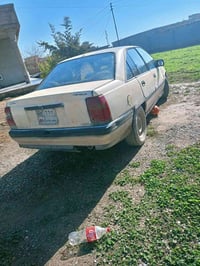 اوميگا • حجم عشرين • فحص كركوك