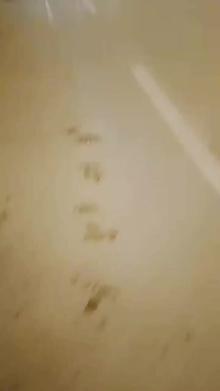 عرض جديد يوجد لدينه قطع ارض للبيع حسب الطلب في قلب ديالى بعقوبه المركز كورنيش ديالى
سعر متر من 600 الف الي مليون 

***********
