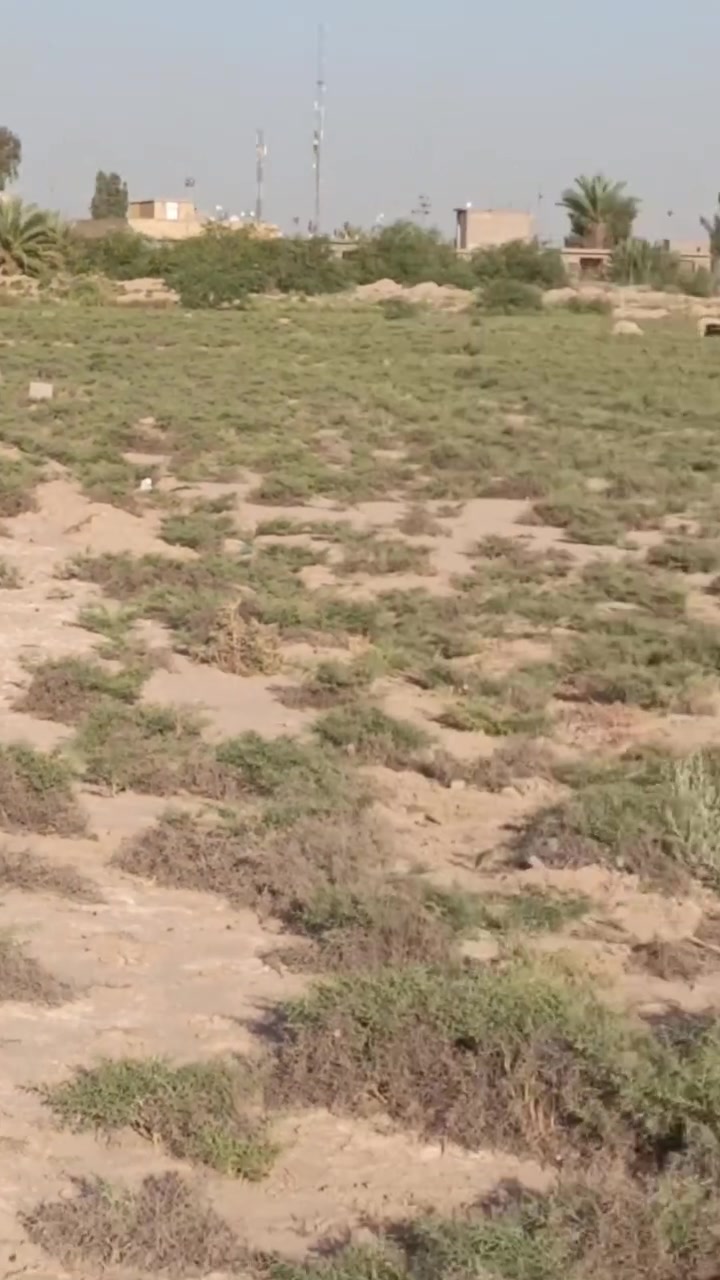 يا الله
قطعه للبيع مساحة ٢٥٠م
الوجه ١٢ونص ونزال ٢٠
السعر ٥٠
عرض شارع ١٥م
المربع الأول مقابيل البوابه
خلف محلات الشارع العام 
مستقبلها قريب 
موقع القطعه حلو بالقرب للمدينه
مثل ما موضح بالمقطع 
قياس بالمربع الثاني والخماس
من ناحية البعد 
للأستفسار أكثر 
مراجعة مكتب دار السلام
 بحي الموظفين
 او الاتصال 
ابو حيدر 
***********
***********
ابو حوراء 
***********
***********
