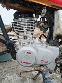 تايكر • موديل ١٨ • بدون أوراق