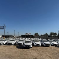 مجموعة الحمداني • جملة ومفرد • دورة يوسفية