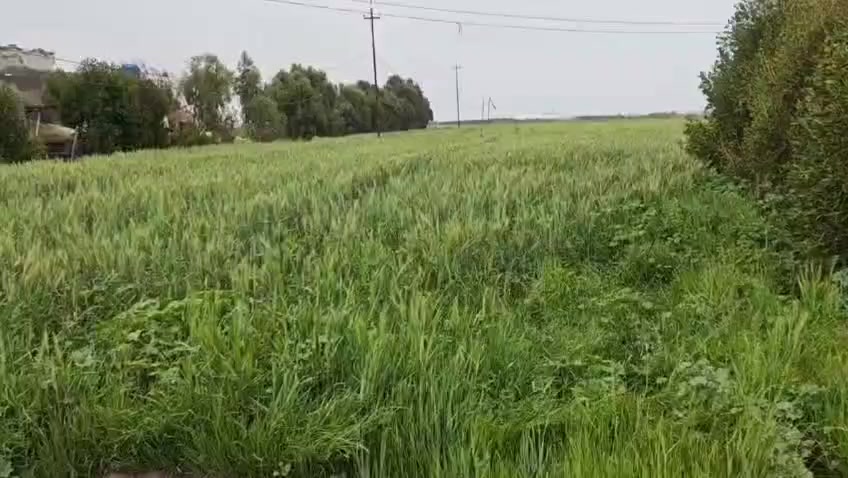 للبيع  ارض  5 دوانم مع بيت  مساحة البيت 250م يحتوي على غرفتين نوم 6×4  و استقابل 10×4 المطبخ 5×4 يبعد عن الشارع ناحيةجبله 200متر  وتبعد عن المدرسه 300م ومتوفر كافة الخدمات  كهرباء مستمره 24ساعه  سند 25زراعي.... 
مكانه طريق ناحيه جبله يم سيطرة عمران الزنبور جهة بيت كاظم البراهيم 
تحول مباشر  للاستفسار ***********
