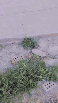 قطعه للبيع خمسين متر مصبوبه كامله مي كهرباء مجاري سند ٢٥ ليريدهه هاذ ر...