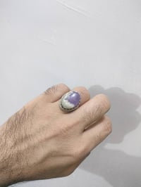 يماني بنفسجي • كربلاء • شرط الفحص