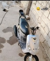 ماكس منغولي • نضافة • مراوس