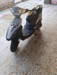 ماكس عدله • نضيفه • ابو الخصيب