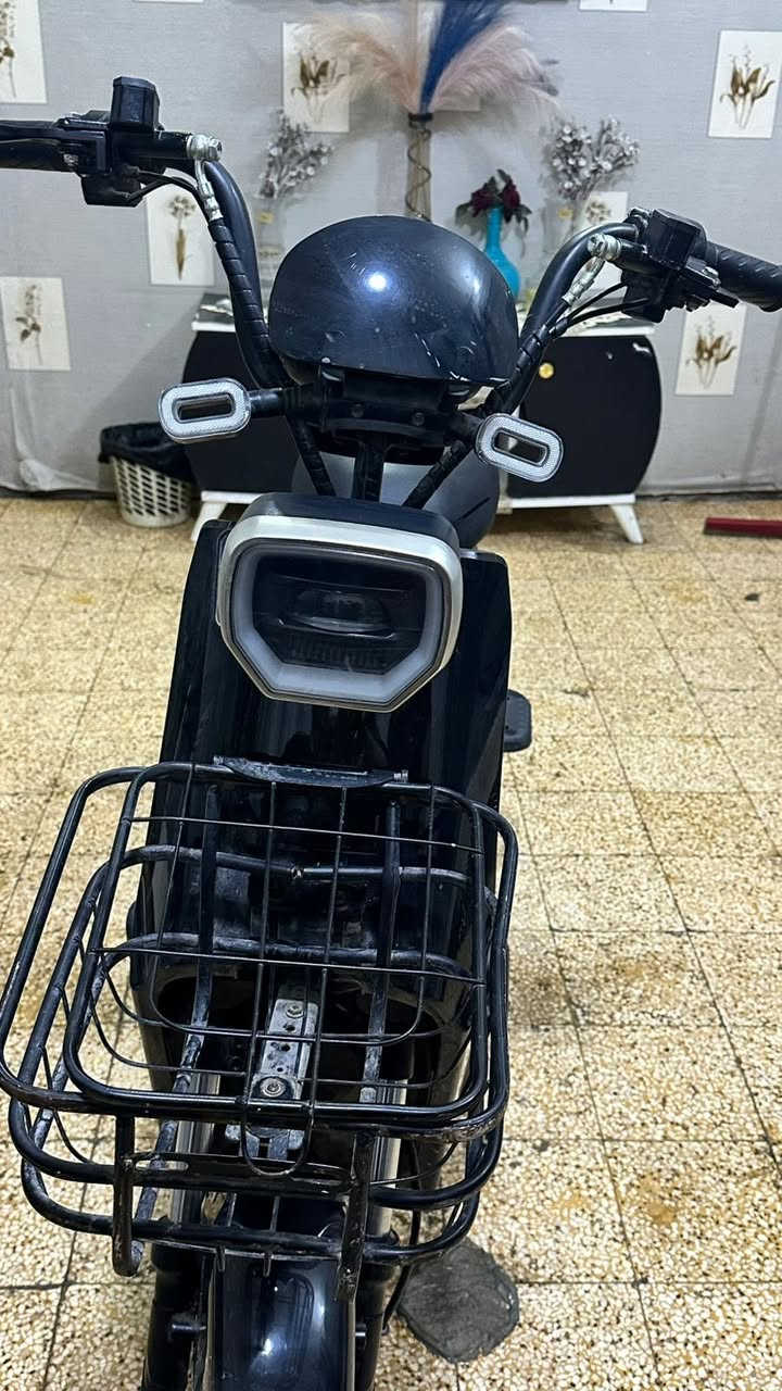 دراجه شحن ريان حجم 16
السعر ٣٥٠وبيها مجال العنوان بغداد 
***********

