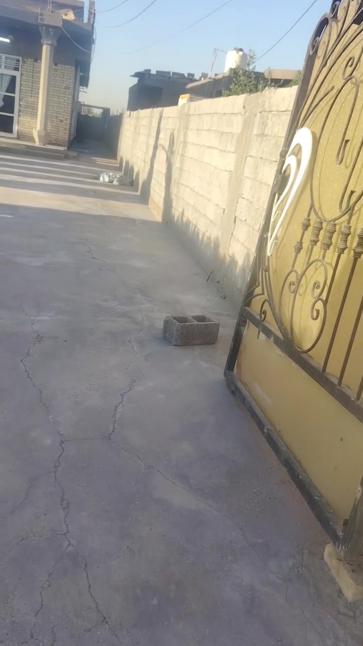 ياالله بسم الله ماشاء الله 
يعلن مكتب ياسر ابو عمار 
عن كل ماهو جديد وحصري
بيت مساحة 950متر  4غرف نوم وصالة ومطبخ حار وبارد وصحيات وحديقة جبيرة خير من الله بناء طابوك وبي رباط نازل 80سانتيم بيت بناء درجة اولى 
البيت زراعي   طابو سند 25 ملك شخصي 
المكان دوانم الشرطة الخامسة قرب جامع ملك القدوس 
بشارع العويسات 
السعر 270وبي مجال للشراي 
للتواصل والاستفسار يرجى الاتصال على الرقم *********** بي واتساب 
محمد ابو يوسف للعقار
