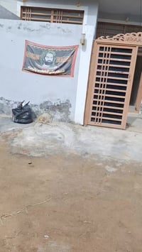 بيت زراعي • شارع معمل دبس • ١٠٠م