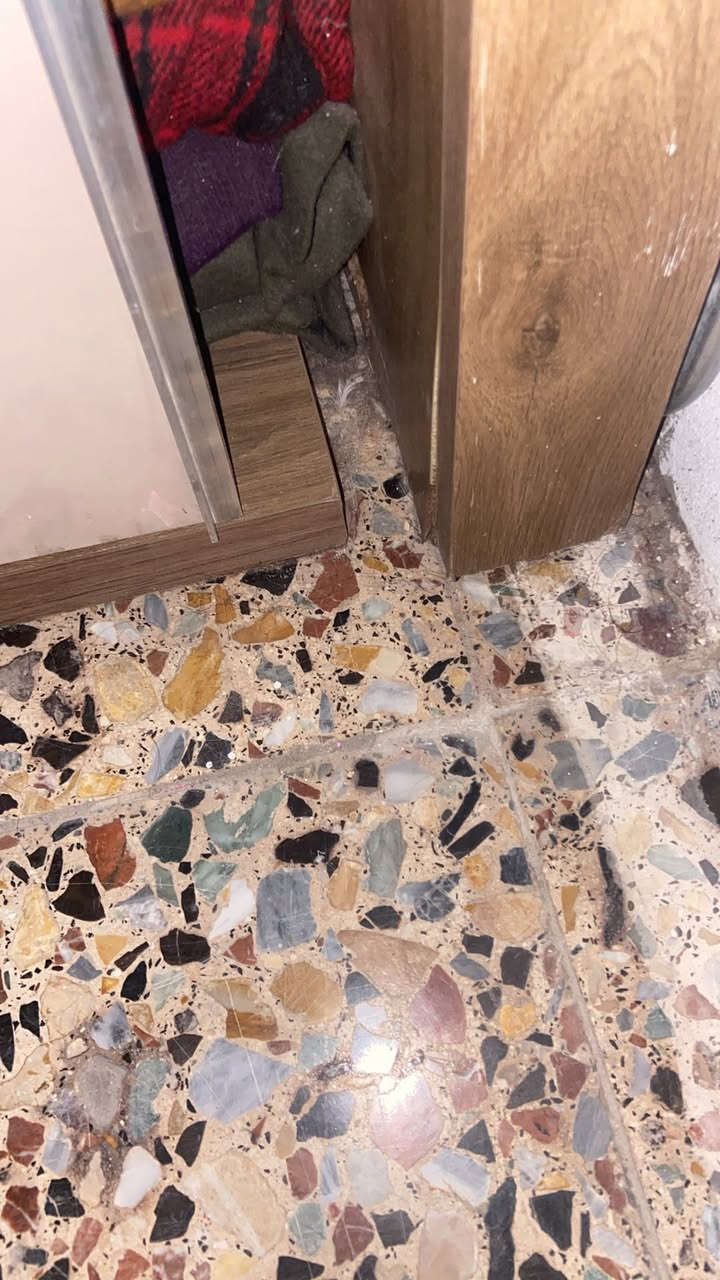 سعر٣٠٠ وبي مجال في بغداد السيديه بيها اضرار موجوده بالصور بالكنتور وبالكومدي وجربايه مصغرتها جانت جبيره بس مبيها ضرر والكنتور جبير والميز جبير ايضاً


**إذا كنت صاحب هذا الإعلان وتريد حذفه لأي سبب، رجاءا أرسل رسالة إلى الدعم الفني**