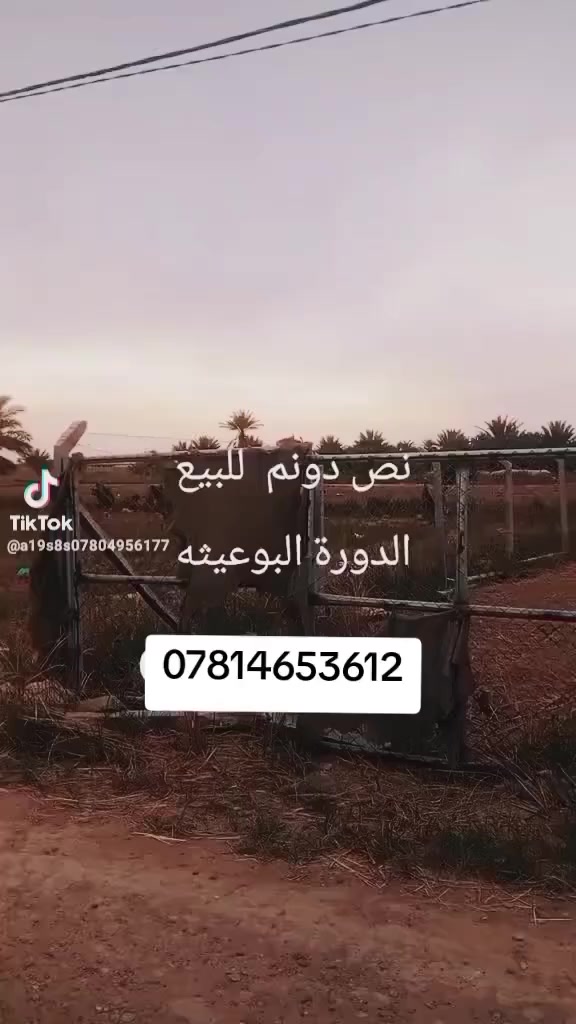 🔹 للبيع / استفسار 🔹
يوجد نص دونم أرض في البوعيثة  
📍 الوجه: 37 متر  
📍 العمق: 35 متر  

✔️ الأرض كاملة الخدمات  
✔️ تصلح كمزرعة أو مشروع استثماري  
✔️ نوع السند: 25  
✔️ القرار: محكمة  

📞 للاستفسار: ***********
