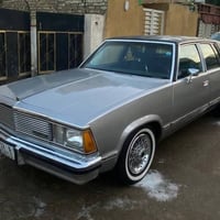 ماليبو ١٩٨١ • رقم نينوى • مشروع باسمي