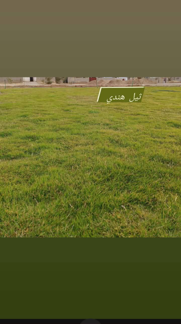 في بداية الموسم الجديد نعلن لكم بيع الثيل الهندي #درجة اولى خضار ١٠٠./. يتحمل جميع الظروف المناخيه
ثيل طبيعي وخضار ولا اروع 💚

نوعية ممتازة ودرجه اولى ⁦1️⃣⁩
ودائم الخضره 

ثيل #هندي  #امريكي   #ايطالي #انكليزي

اسعارنا الانسب وتوصيلنا الاسرع  لكافة محافظات العراق
لمعرفة المزيد راسل الصفحه او اتصل ***********
