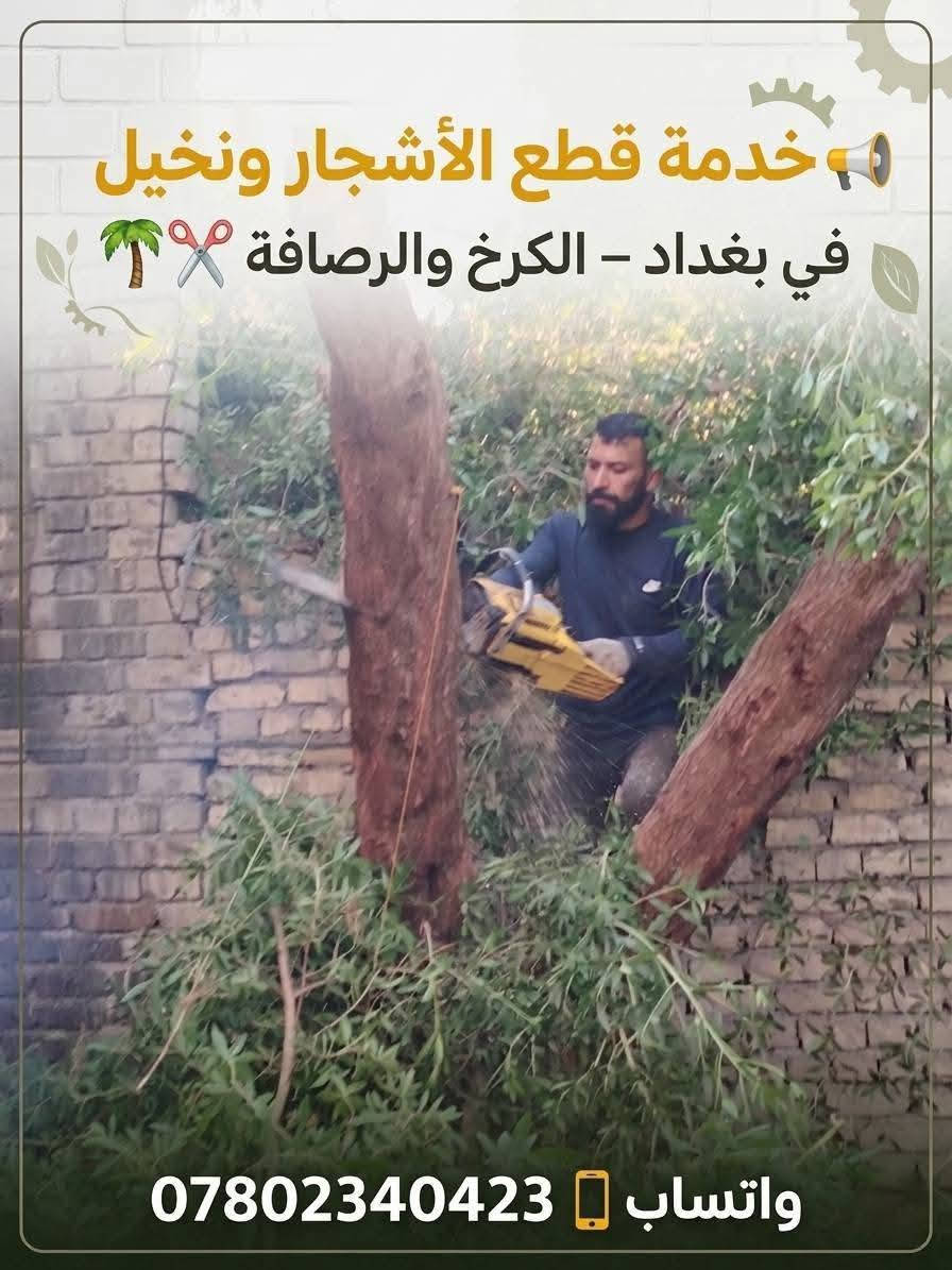 📢 خدمة قطع الأشجار ونخيل   في بغداد – الكرخ والرصافة 🌴✂️واتساب ***********
