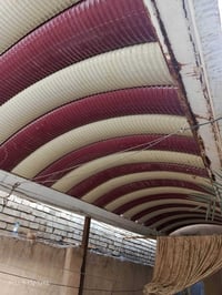 سقفيه