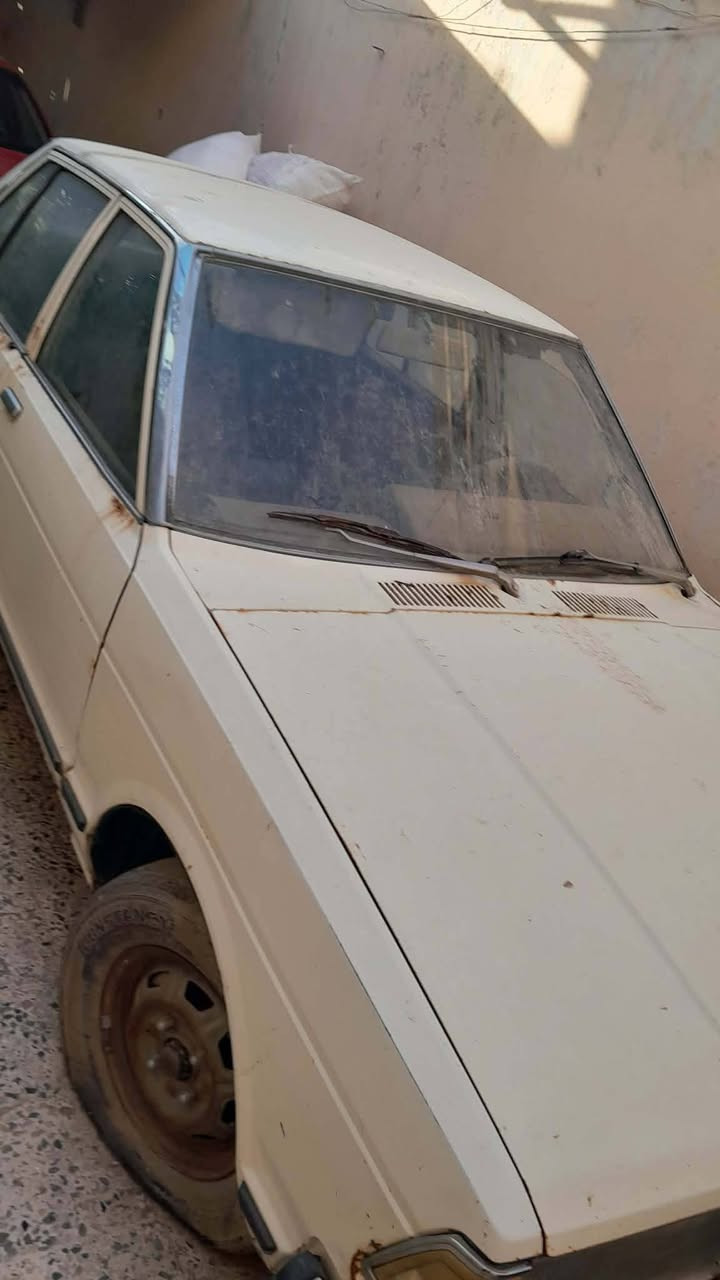 داستن موديل ٨٠ رقمها ٢٨٢ صدامي سعرها ٦٠ وبي مجال ***********
