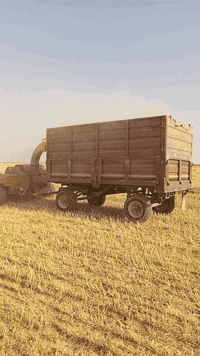 السلام عليكم تركتر فيئات للبيع معا تبانه وعربانه ساري باكور   المكان  كركوك
***********
