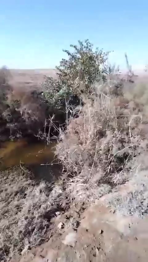 السلام عليكم لبيع ٣عقود كل عقد ١٠٠دونم لعقد لواحد ب٢٠ مليون لموقع سكران خلف سكه الحديد  للستفسار ***********
