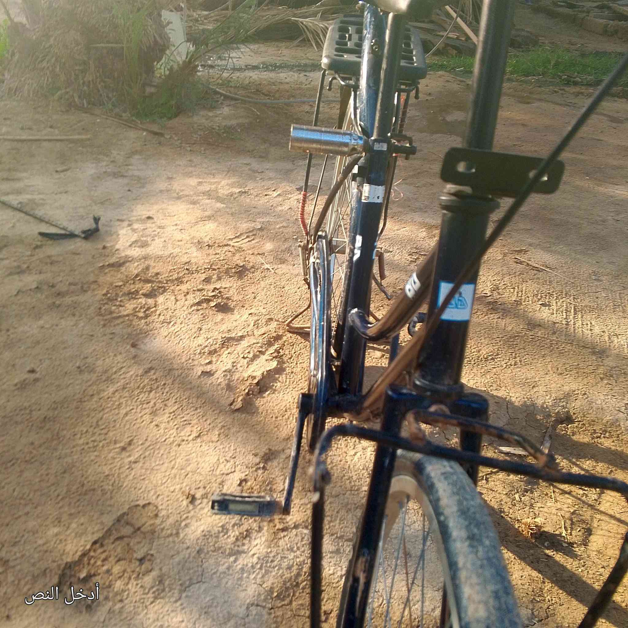 بايسكل لبيع هو وخراضه مستعجل على لبيعه قيم وخذ


**إذا كنت صاحب هذا الإعلان وتريد حذفه لأي سبب، رجاءا أرسل رسالة إلى الدعم الفني**