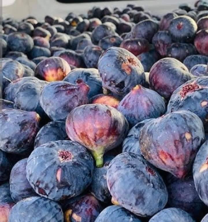 تين بني مسلم الارتفاع متر واقل السعر 2500 العنوان كربلاء قضاء الحسينيه منطقة الابراهيميه *********** توصيل للكميه فقط #الجميع
