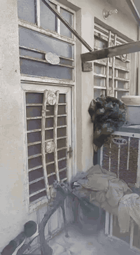 أبي غرق • ١٠٠م • طابق ونص