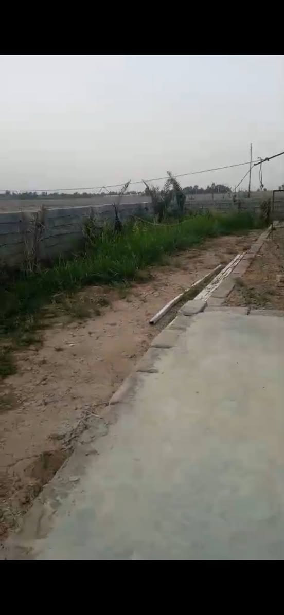 السلام عليكم عندي بيت مساحة 700m مساحة البناء فقط200 في ناحية السلام يرهم مزرعة يرهم بيت للسكن نوع العقار بلدية يبعد عن الشارع العام دقيقتين مشي خدامات موجودة ماء كهرباء مزروع نخل وحمضيات بالحديقة البيت طابق واحد السقف ساندويتش للتواصل *********** السعر25مليون وبي مجال مستعجل اريد ابيعه البيت جداً جميل
