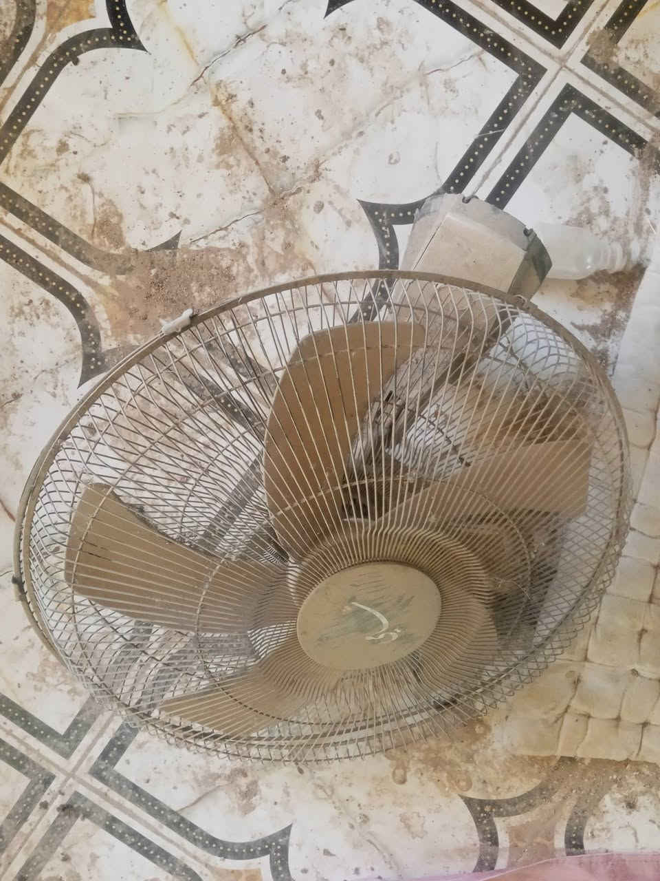 السلام عليكم مراوح جداريات عدد 5. نوعيتهن شامي اخذتهن الوحده ب40 وعطلن ما اعرف شنو سبب 
الي ايريدهن خل ايخلي سعر وياخذهن مكان بابل الحمزه الغربي العلاك ويوجد توصيل


**إذا كنت صاحب هذا الإعلان وتريد حذفه لأي سبب، رجاءا أرسل رسالة إلى الدعم الفني**
