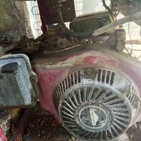 موالدة للبيع مستخدم راسلني وتددل رقمي 07780279792