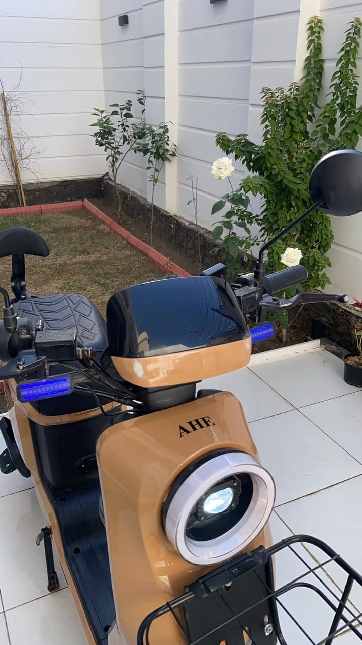 السلام عليكم بايسكل شحن للبيع R9 موديل 2025 فول مواصفات
- بطاريات اصلية عدد 5 🔋
- نظام R رجوع إلى الخلف ⬅️
- شاشة دجتل نظام الجديد 🖥️
- تحديد اعطال 4 سرع ✅
- بريكات هيدروليك قوية جداً ✅
- السرعة القصوى 70KM ✅
- جهاز إنذار ضدّ السرقة ✅
- لايت LED زنون ✅
- اشاير امامي خلفي ✅
- دبلات ثنين امامي هايدروليك والخلفي غازي ✅
- بايدر مساعد ✅ 
- شاشة تقرا الأعطال والسرعة والشحن و تربط على البلوتوث ✅
- تشغيل عن بعد وبصمة و مفتاح ✅
السعر ٤٩٥ الف✅

للتواصل مكاني كربلاء سيف سعد رقم الهاتف *********** يوجد ايضاً واتساب
