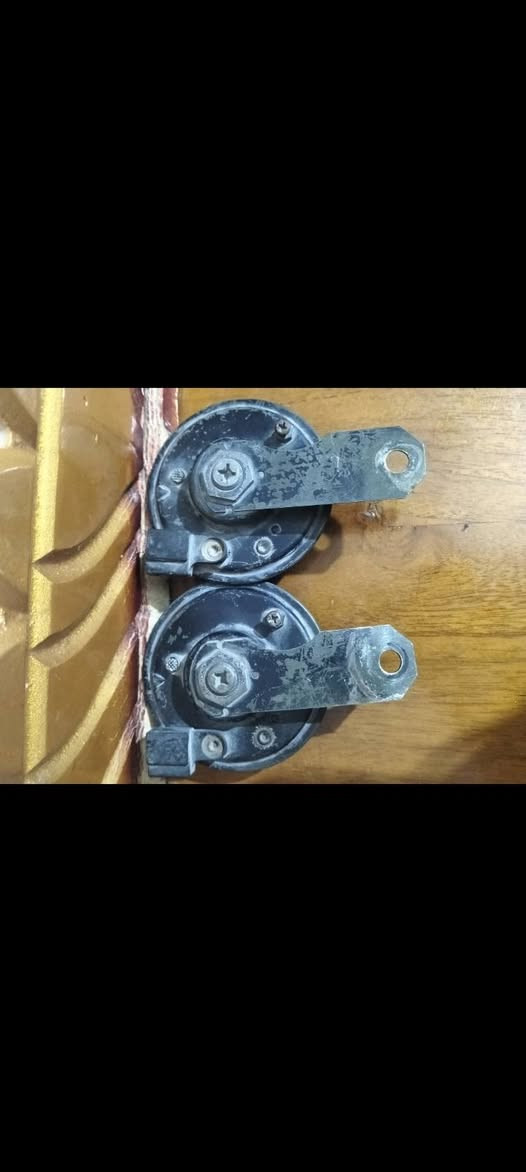 سلام عليكم شباب البييع هورنات الكزز
نعومه فول 
الون زيتوني نثيه وفحل مكاني بغداد
سعرهن 90 الف 
وبيهن مجال الطييبين
رقم هاتف  ***********
