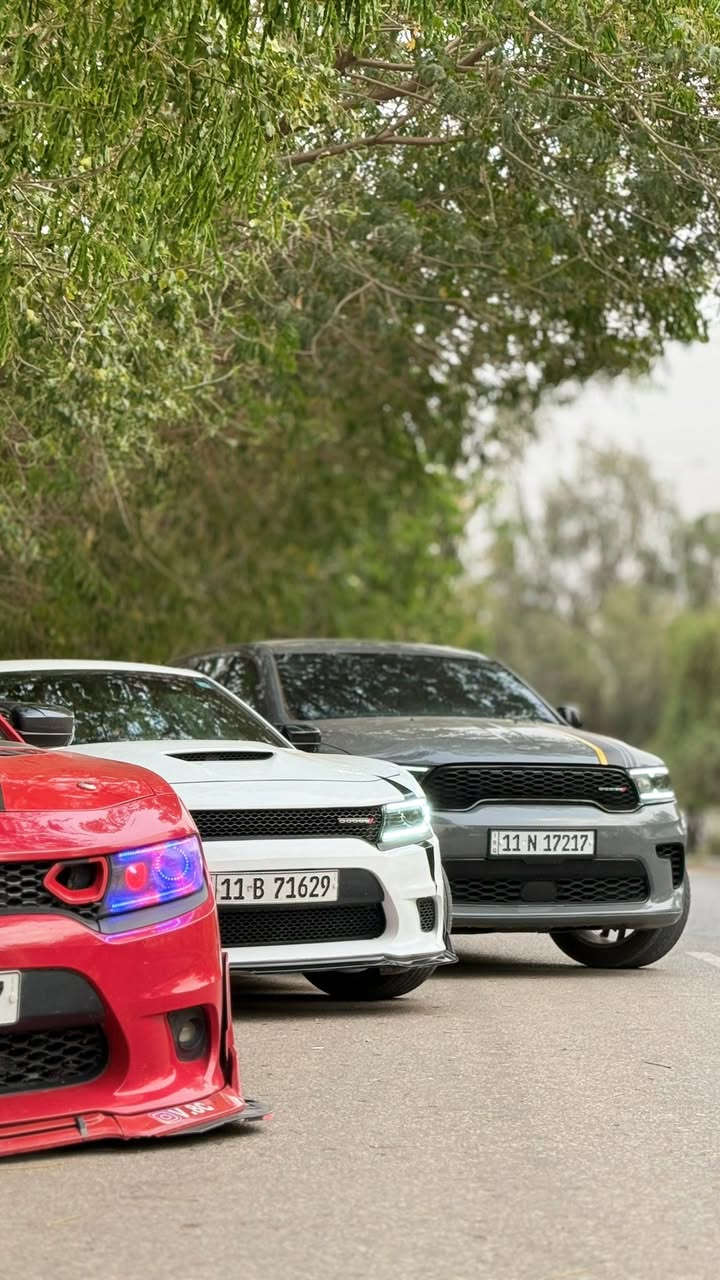 دورنكو 2023 Gt
تبديل جاملغ ايمن فقط اصلي بدون اي دواخل
جنطه كهرباء
كشنات تدفئة
كشن كهرباء 
رادار امامي وجانبي وخلفي 
رقم بغداد شبه مميز بااسمي مداور نفس اليوم
السياره جاهزه بدون اي نقص 
وبلاديه على وضع الشركه من تبريد وراديتر ومي راديتر وكلشي كبس على وضع الشركه 
للبيع فقط بدون مراوس 
السعر 305 وبي مجال بسيط
***********
