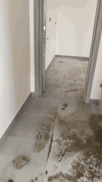 شقه للإيجار ***********
