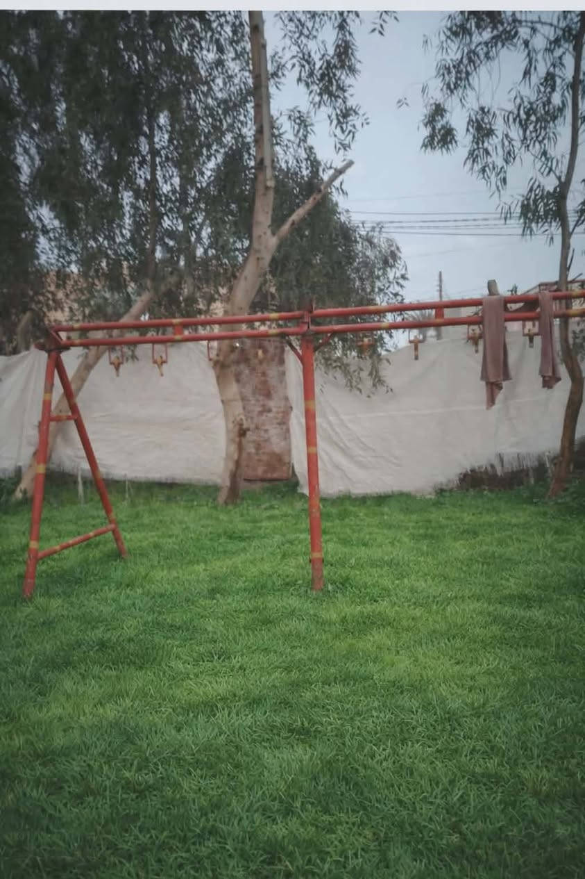 مشروع يرهمن صغير للبيع كلهن بمليون و100الف


**إذا كنت صاحب هذا الإعلان وتريد حذفه لأي سبب، رجاءا أرسل رسالة إلى الدعم الفني**