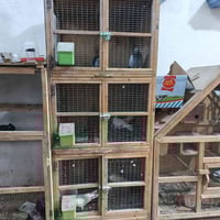 أقفاص طيور • خانات • قفص كناري