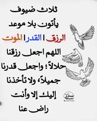 العلم الحي العسكري • ٣٠٠م • ٣ محلات