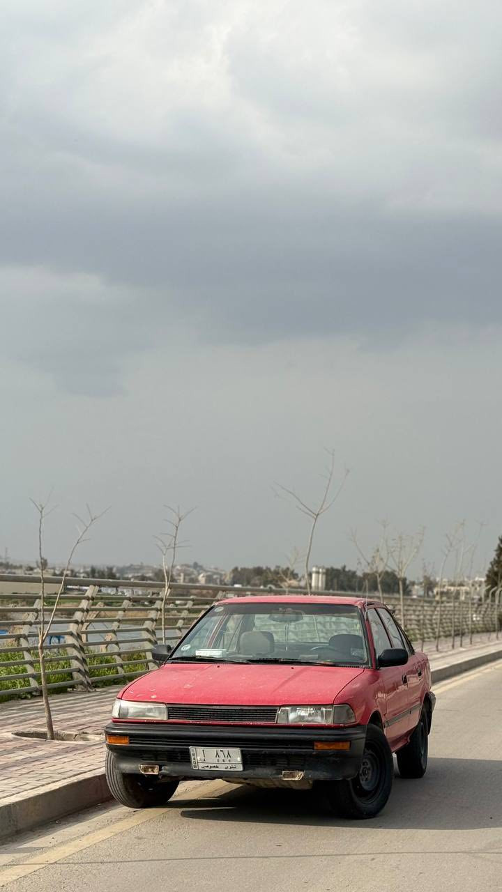 سلام عليكم كورلا ١٩٩٠ استيرن يسار بلادي رقم مميز مميز محرك معمر جديد كير شرط السقف ما بي صبغ بس انطيك صبغ عام فحم في فحم اي استفسار *********** بالنهار بالشغل بليل متفرغ السعر ٧٠ ورقه وبي مجال شباب لحد يكول السعر غالي السعر لعيون الرقم
