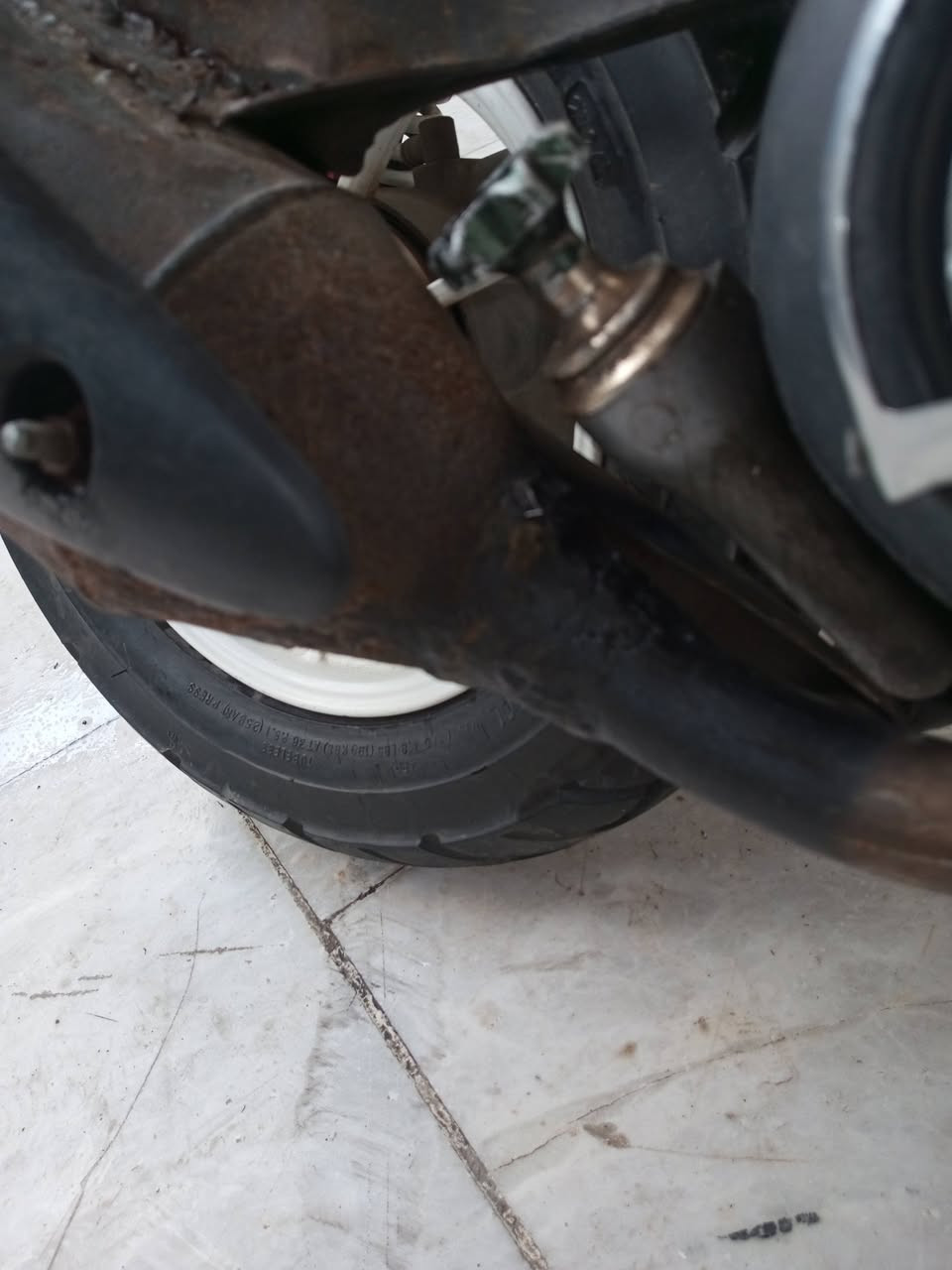 صالنصه صجميه اصليه شويه لحيم من بوري صوته كلش حلو مراوس استيل لو بلاديه مكاني بغداد حي النصر


**إذا كنت صاحب هذا الإعلان وتريد حذفه لأي سبب، رجاءا أرسل رسالة إلى الدعم الفني**