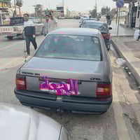 فيكترا • ١٩٩١ • صباغ جملي