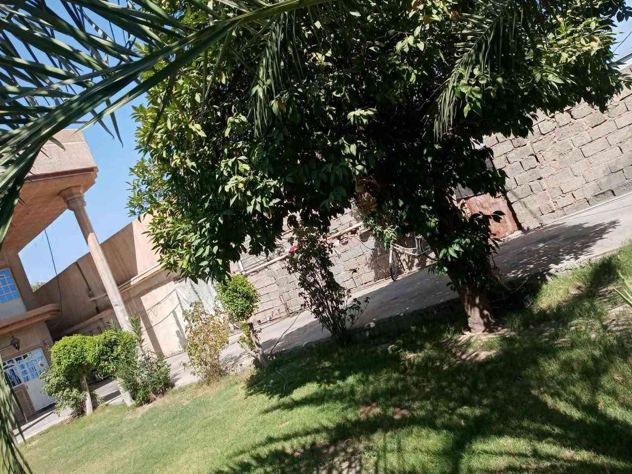 السلام عليكم ...
دار للبيع في بغداد منطقة شاطئ التاجي، مساحته 450 متر  مطل على الشارع يحتوي طابقين الطابق الاول الخارجي يحتوي على حديقة وكراج كبير وتواليت خارجي،
 والداخلي يحتوي على صاله استقبال وحولي ومطبخ وغرفه نوم واحدة  وحمامات، والطابق الثاني يحتوي على 3 غرف منام. ومن ضمن البيت محل على الشارع... السعر 400 مليون 
باقي الاستفسار على الرقم/ ***********
