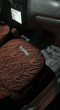 السلام عليكم اخوان مرخصة الادمن طبعا عندي كيو كيو للبيع نظيفه شرط كفاله موديل 2011اوتماتيك السعر28$وبيهه مجال. مكاني بغدادالدوره. سنويه 27. ***********
