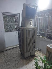 مبرده • استعمال قليل • تقاطع الزهور