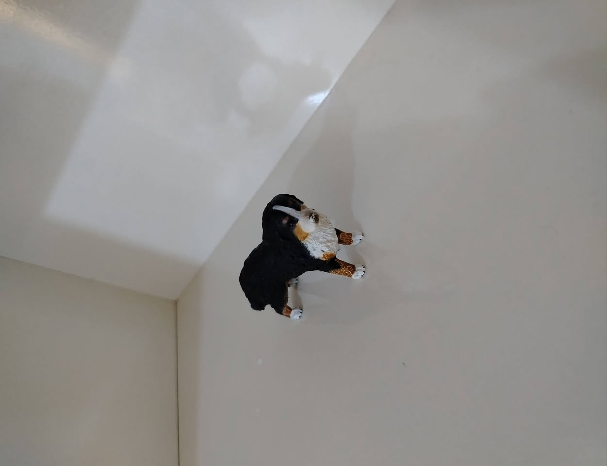 سلام عليكم ورحمة الله متاح مجموعة حيوانات كلهن ماركة ما عدا المجموعه البيها ثعلب ووقندس وقرش وبطه ذني زغار س المجموعة كلها ٢٥ مع التوصيل
متواجد خاص


**إذا كنت صاحب هذا الإعلان وتريد حذفه لأي سبب، رجاءا أرسل رسالة إلى الدعم الفني**