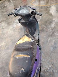 دولفين • كوم حديد • الشعب