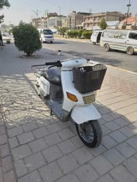 بيكم • فحل • اوراقه